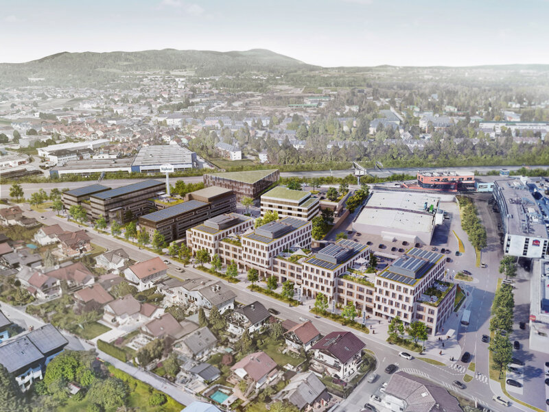 Rendering: Flenreisz